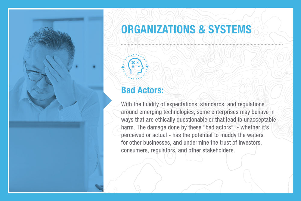 Organizations & Systems: Bad Actors