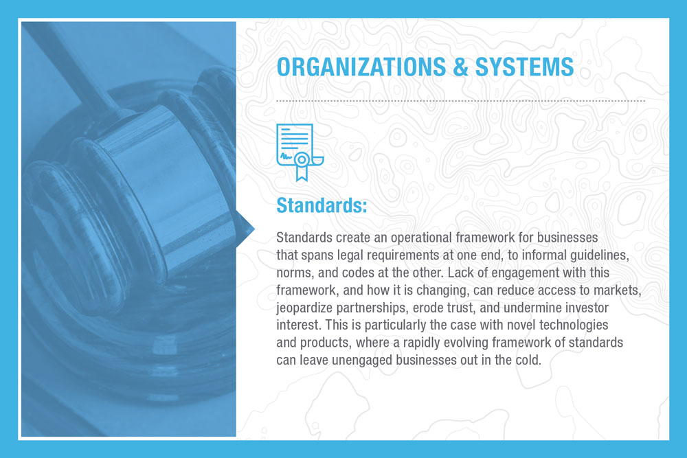 Organizations & Systems: Standards